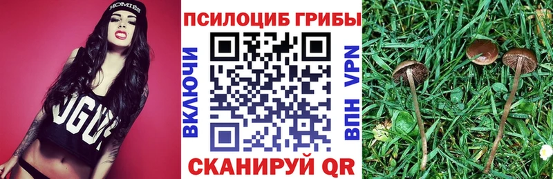 ОМГ ОМГ ссылка  Нахабино  Галлюциногенные грибы Psilocybine cubensis 